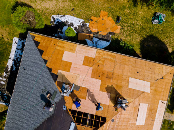 Best Flat Roof Repair Services  in Falling Water, TN
