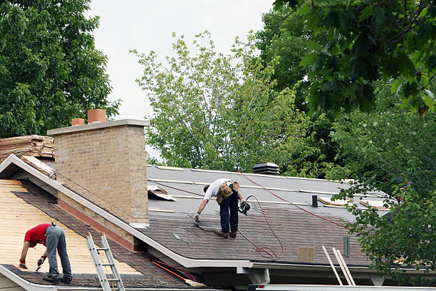 Best Roof Maintenance Services  in Falling Water, TN